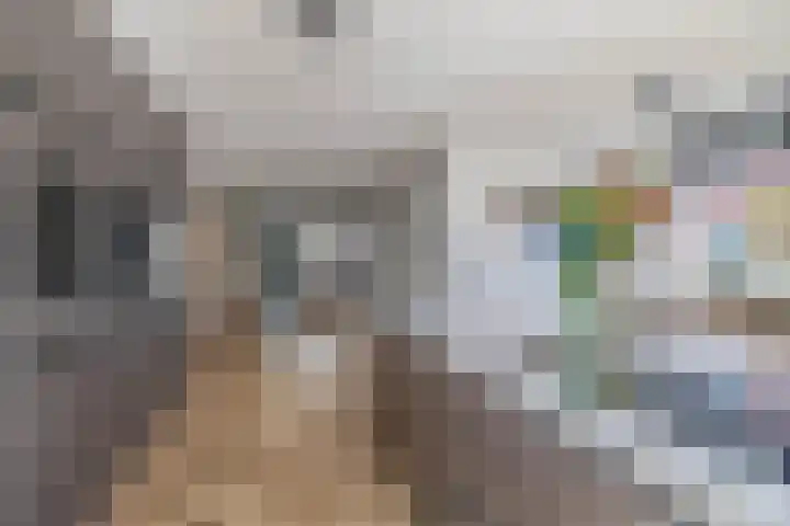 Dotterbloemdreef 22 Harderwijk thumbnail 8