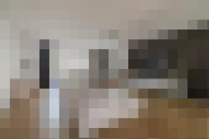 Dotterbloemdreef 22 Harderwijk thumbnail 9