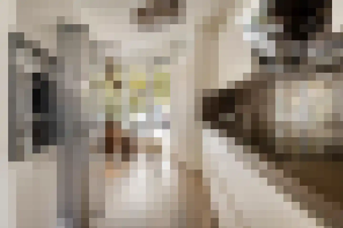 Dotterbloemeiland 20 Rijswijk thumbnail 13