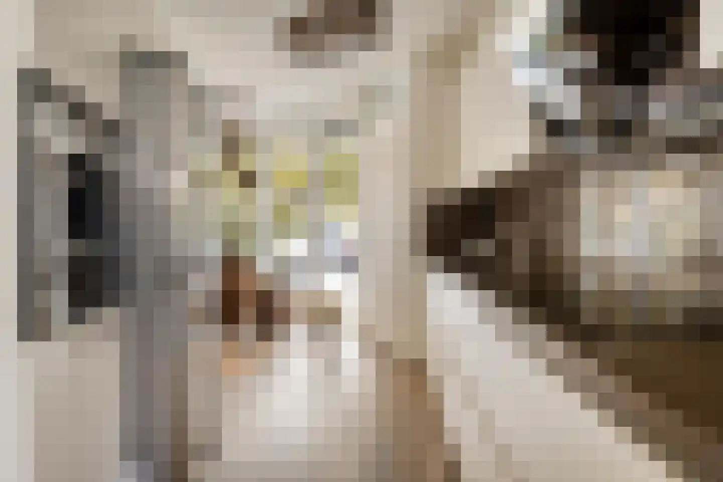 Dotterbloemeiland 20 Rijswijk thumbnail 13