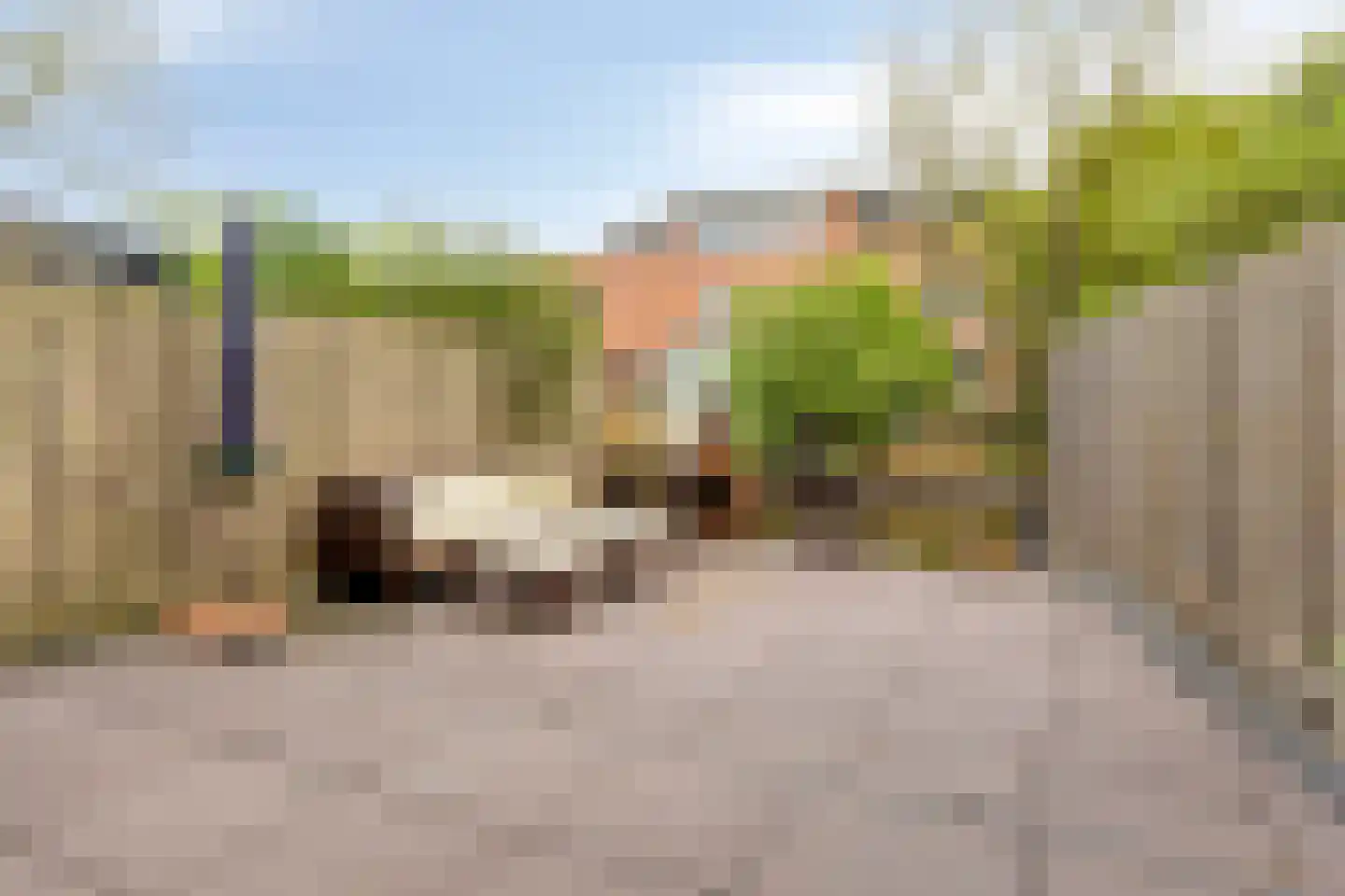 Dotterbloemeiland 20 Rijswijk thumbnail 23