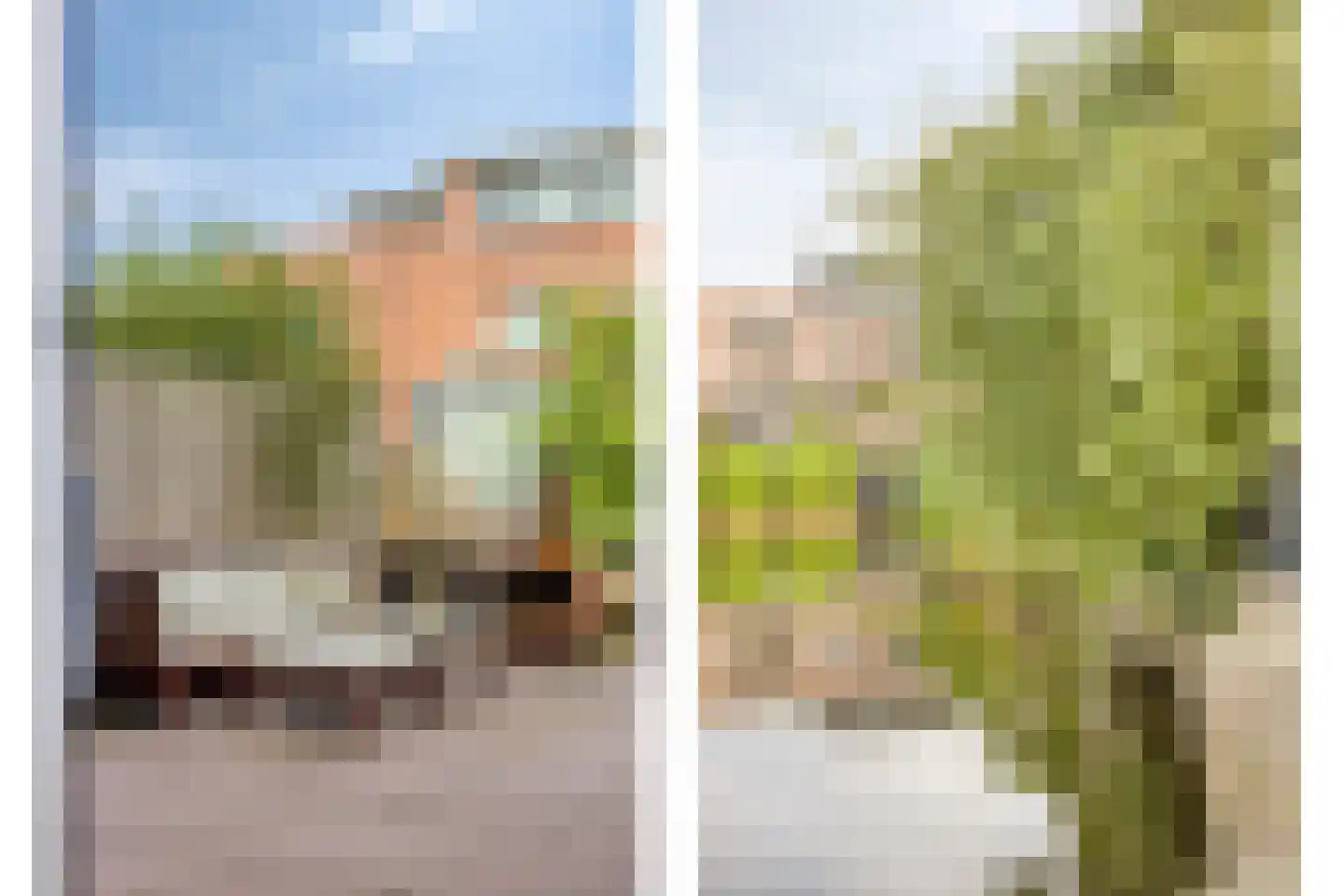 Dotterbloemeiland 20 Rijswijk thumbnail 24