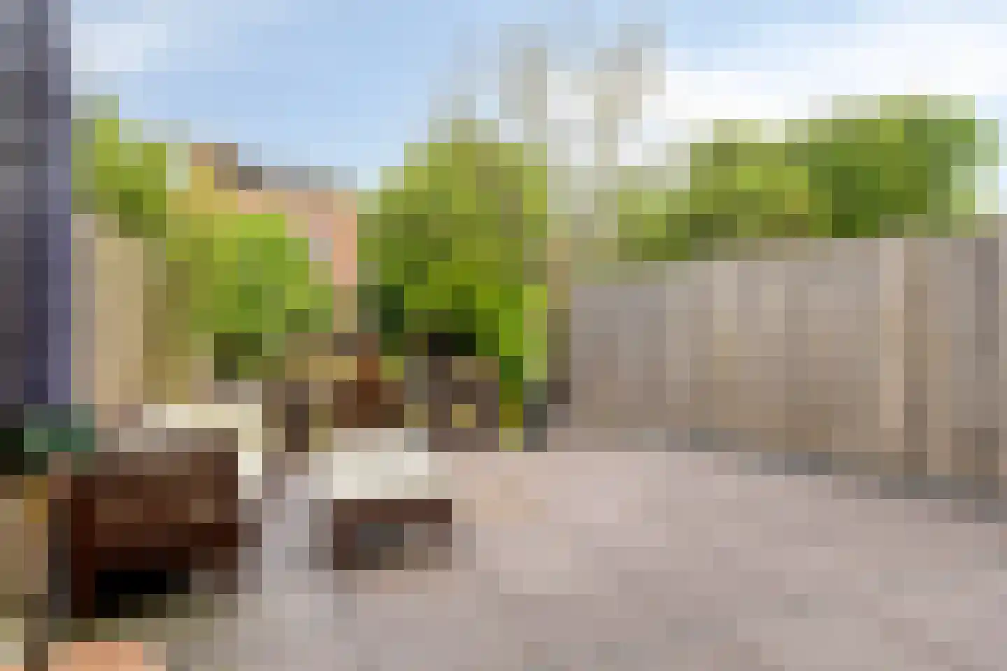 Dotterbloemeiland 20 Rijswijk thumbnail 25