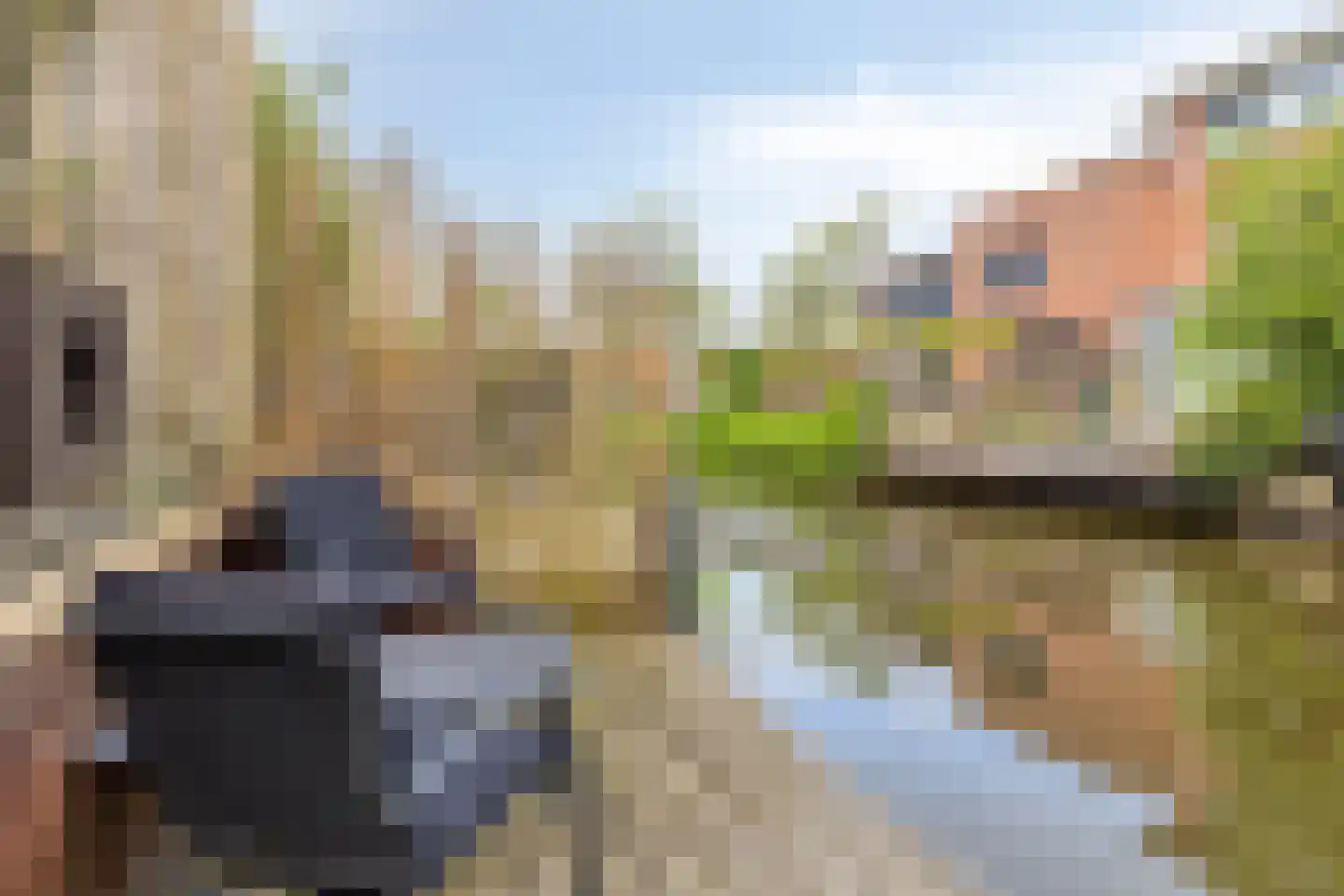 Dotterbloemeiland 20 Rijswijk thumbnail 27