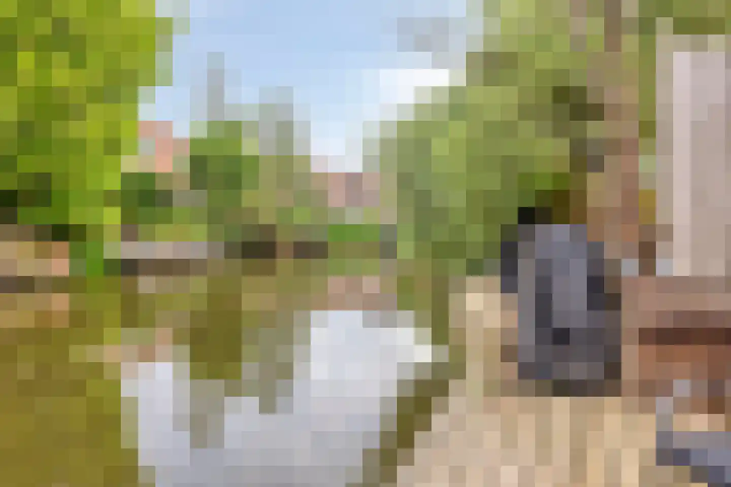 Dotterbloemeiland 20 Rijswijk thumbnail 28