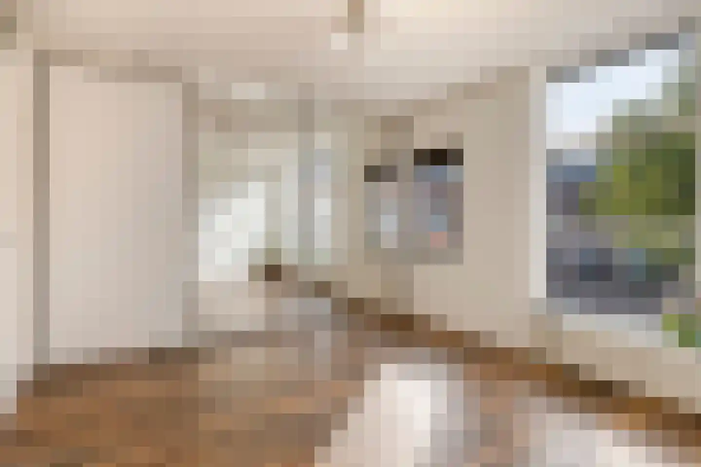 Dotterbloemeiland 20 Rijswijk thumbnail 32