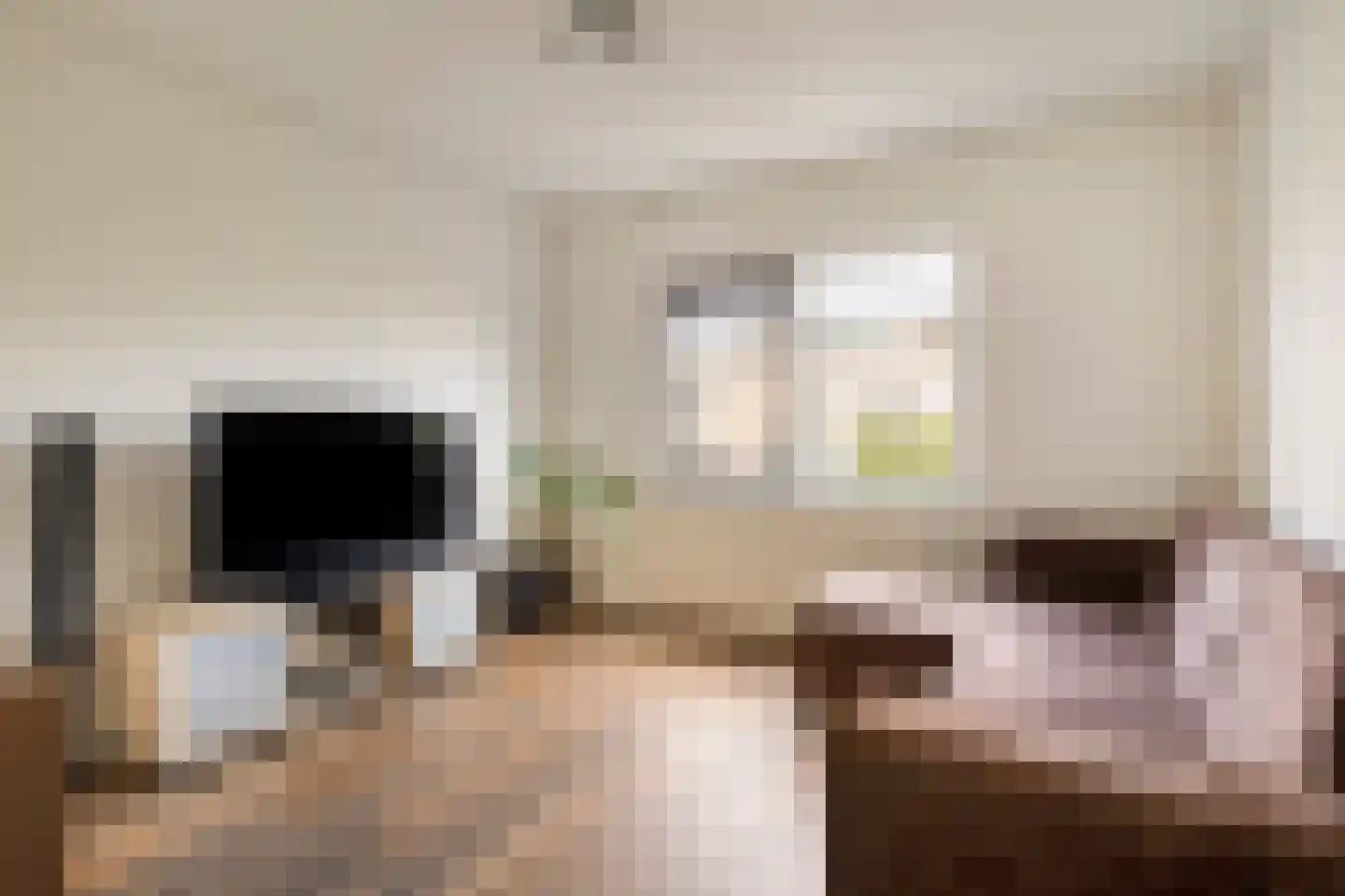 Dotterbloemeiland 20 Rijswijk thumbnail 33