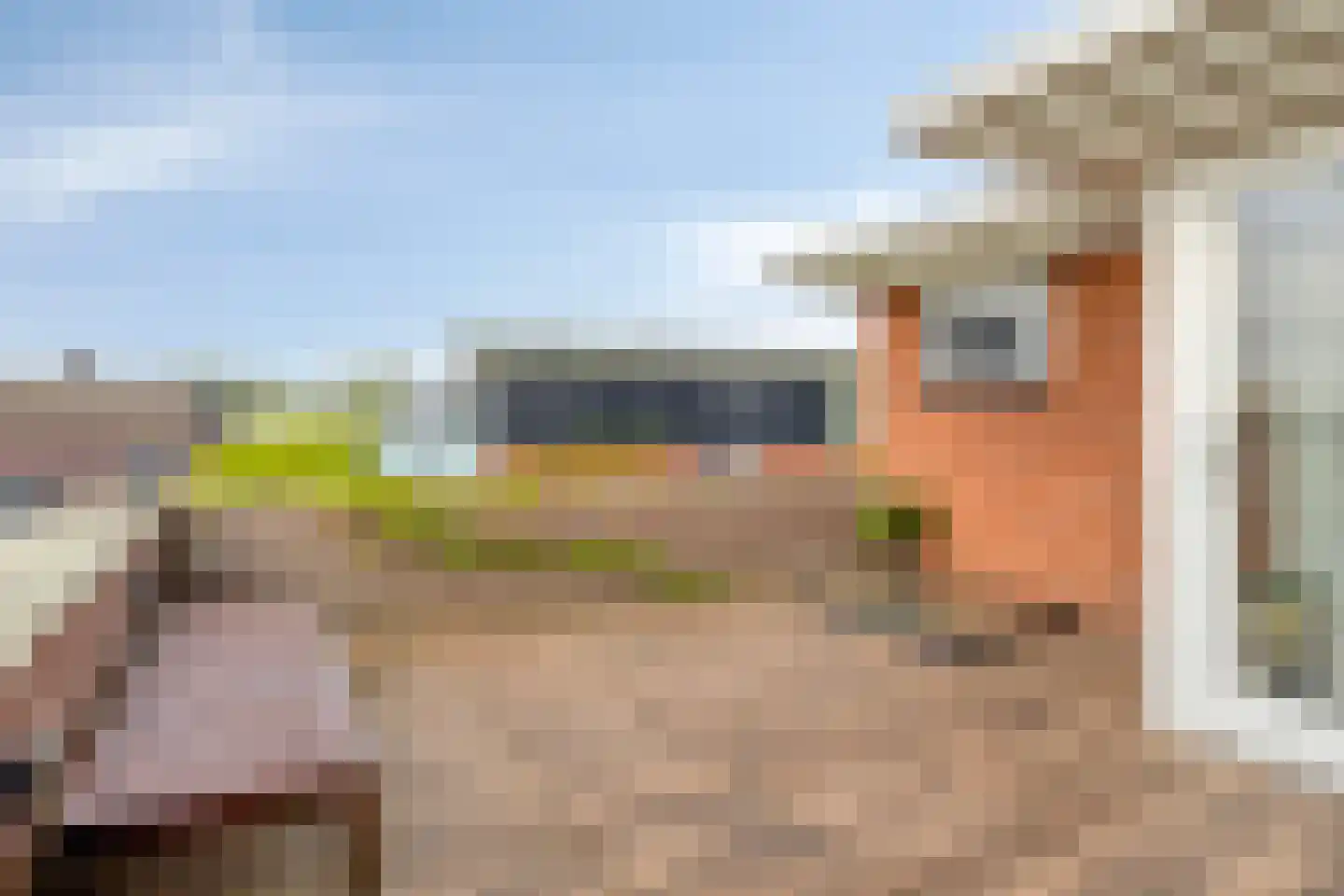 Dotterbloemeiland 20 Rijswijk thumbnail 52