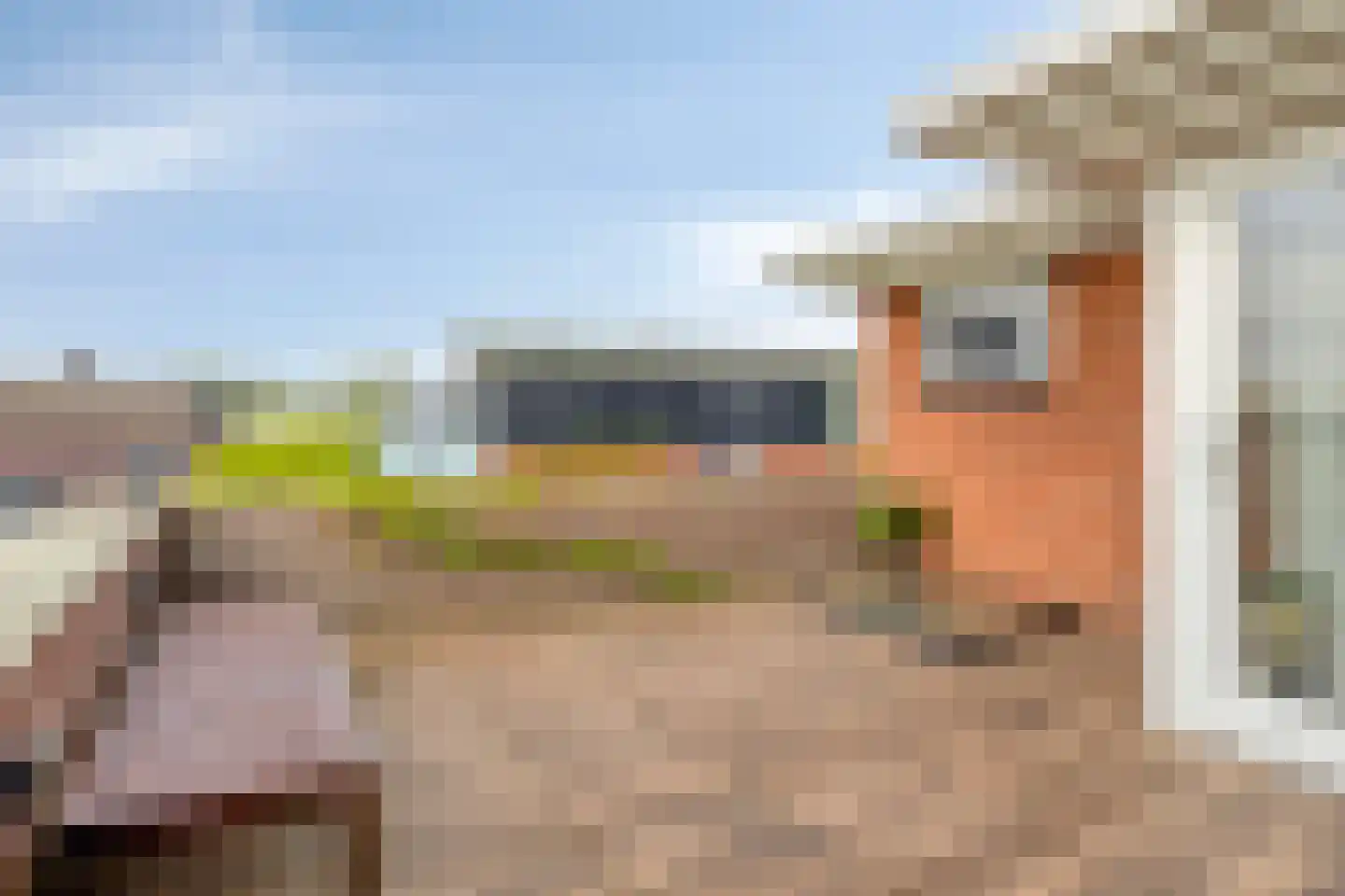 Dotterbloemeiland 20 Rijswijk thumbnail 52