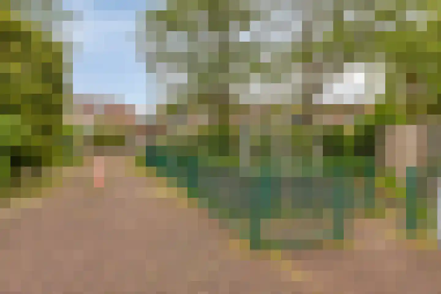 Dotterbloemeiland 20 Rijswijk thumbnail 56