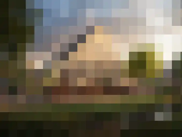 Dotterbloemerf 8 Hoef en Haag thumbnail 11