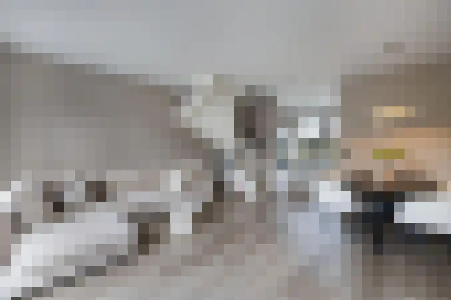 Dotterbloemhof 14 Lelystad thumbnail 12