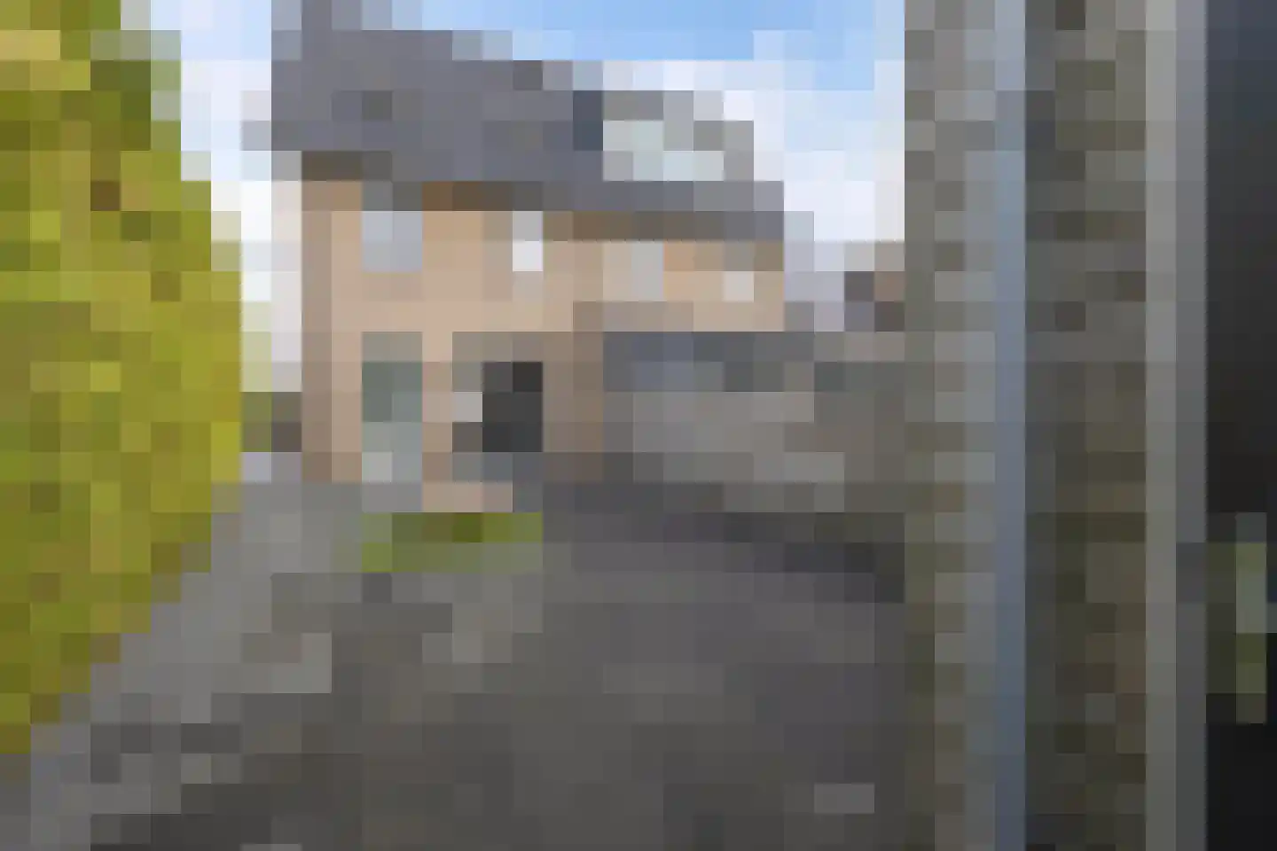 Dotterbloemhof 14 Lelystad thumbnail 20