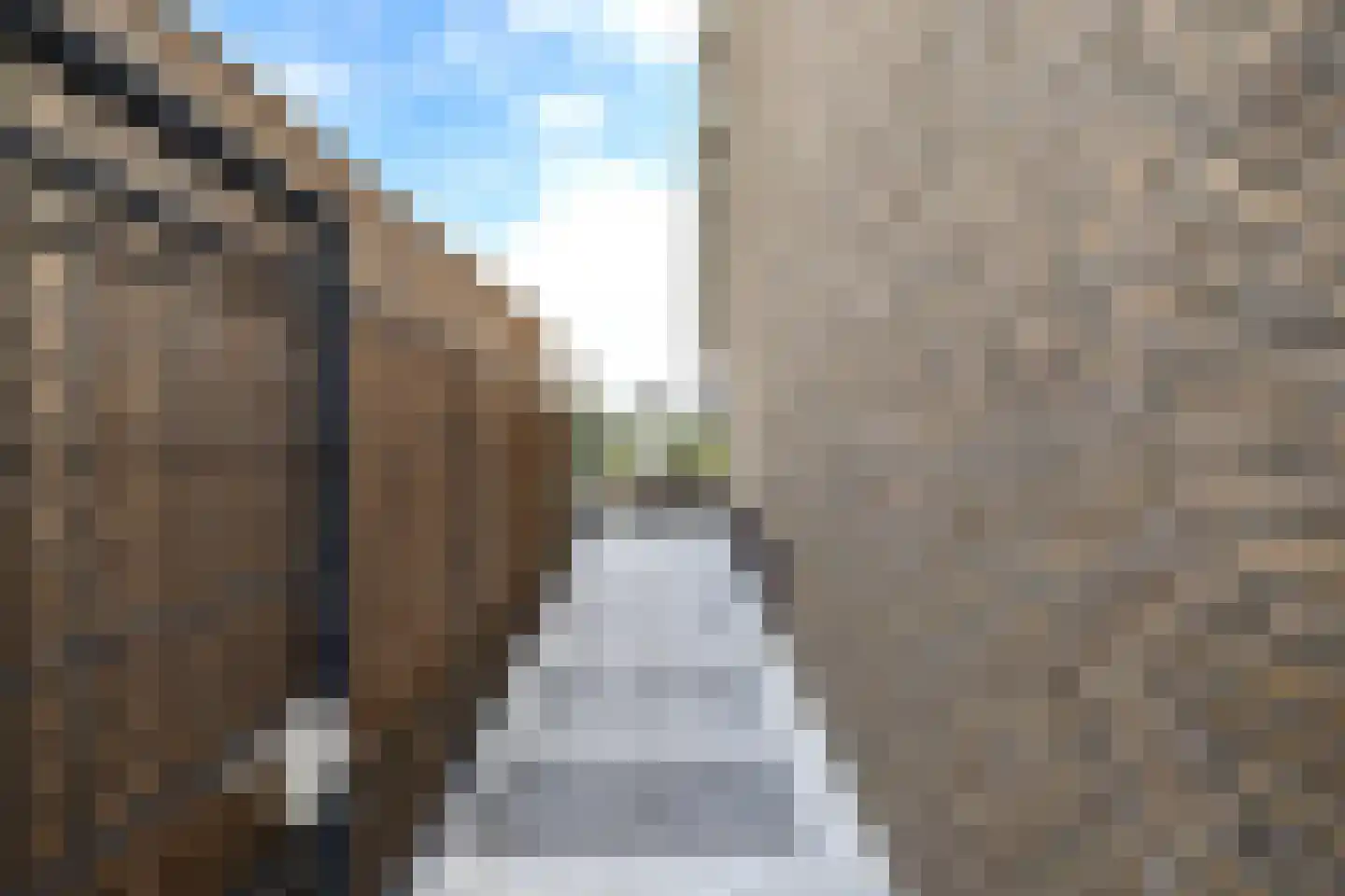 Dotterbloemhof 14 Lelystad thumbnail 21