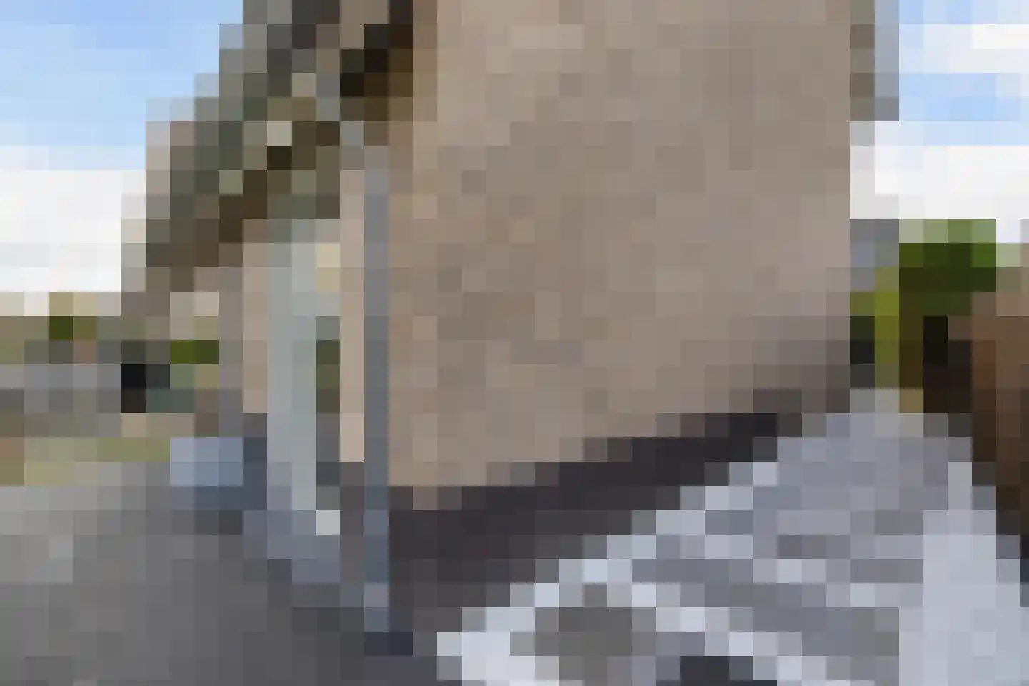 Dotterbloemhof 14 Lelystad thumbnail 22