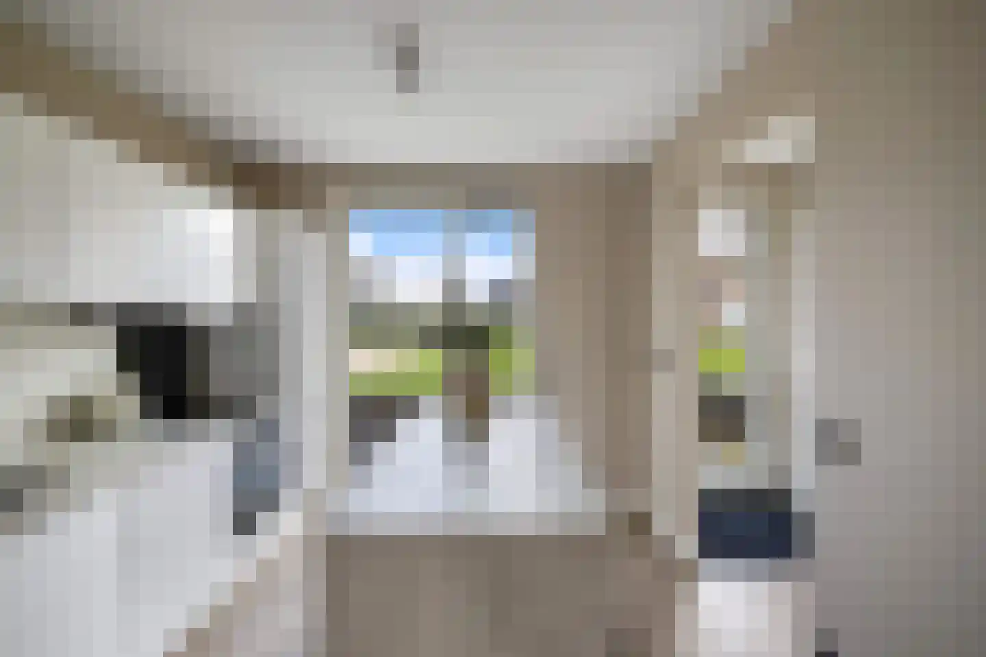 Dotterbloemhof 14 Lelystad thumbnail 6