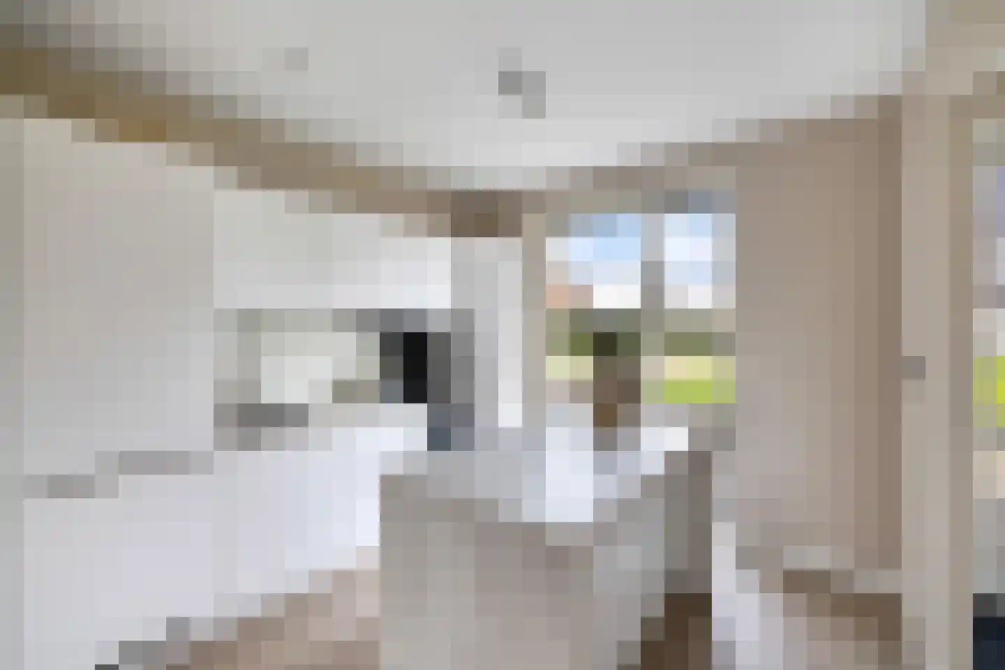 Dotterbloemhof 14 Lelystad thumbnail 8
