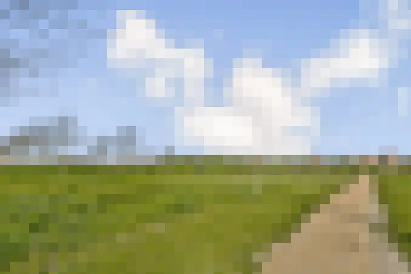 Dotterbloemhof 17 Lelystad thumbnail 19