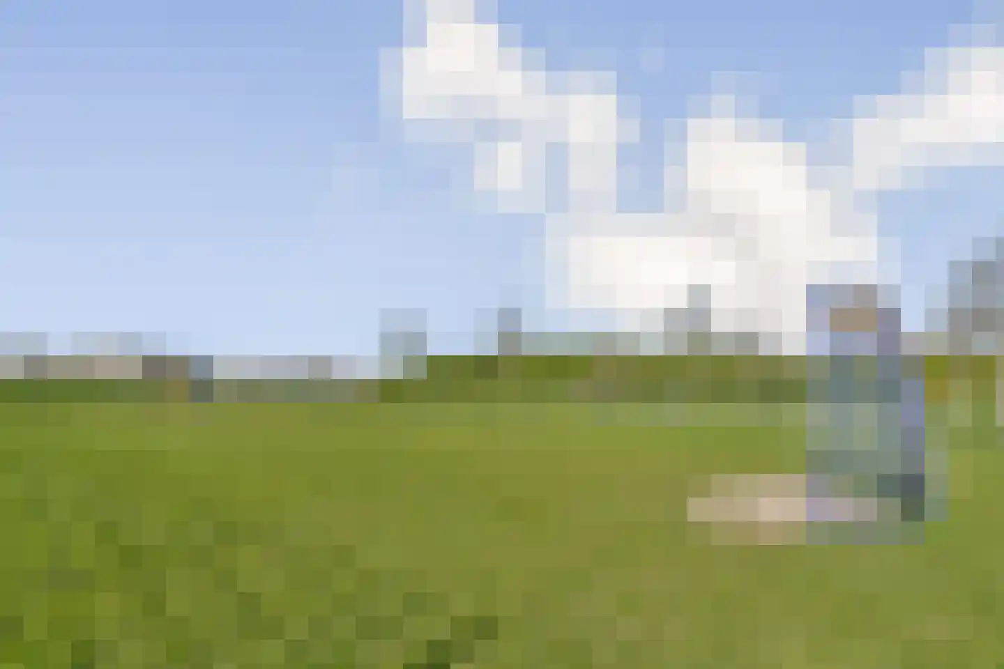 Dotterbloemhof 17 Lelystad thumbnail 20