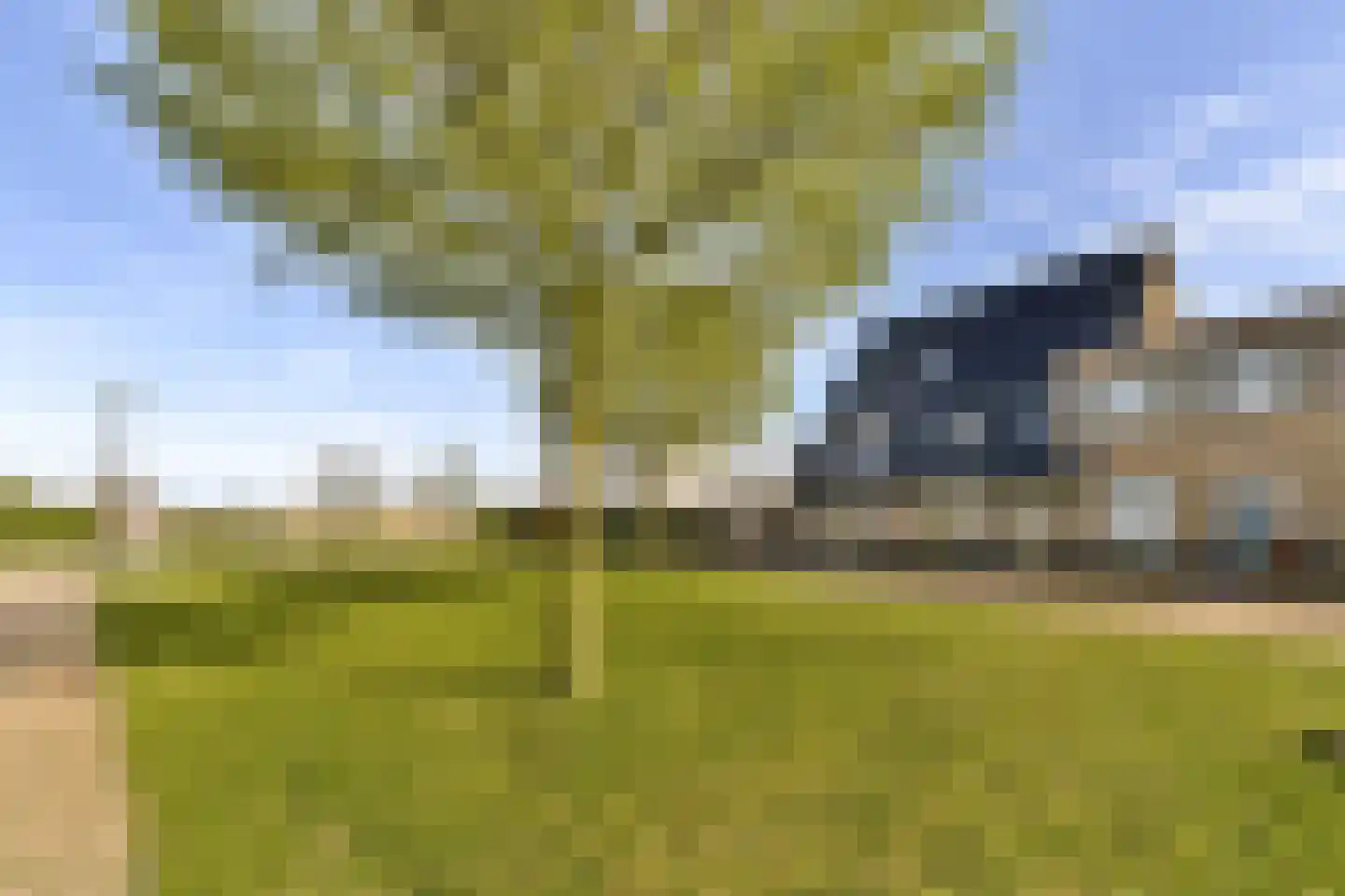 Dotterbloemhof 17 Lelystad thumbnail 4