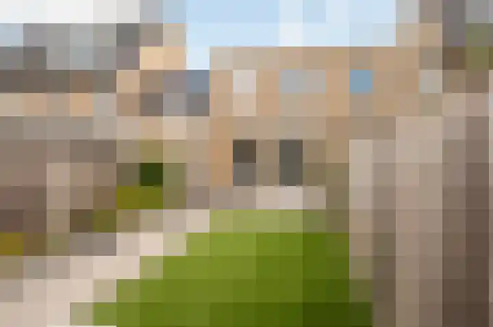 Dotterbloemhof 20 Lelystad thumbnail 33
