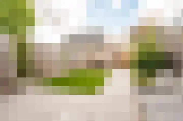 Dotterbloemhof 20 Lelystad thumbnail 34