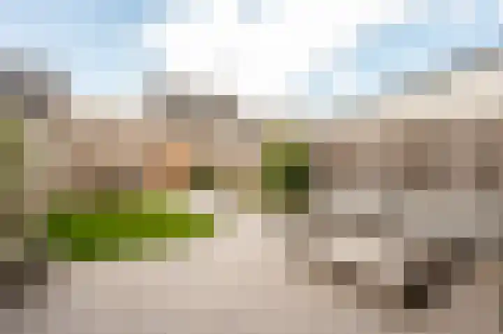 Dotterbloemhof 20 Lelystad thumbnail 35