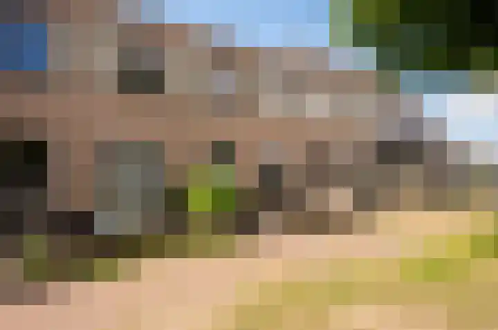 Dotterbloemhof 20 Lelystad thumbnail 37
