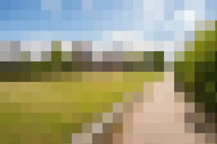 Dotterbloemhof 20 Lelystad thumbnail 38
