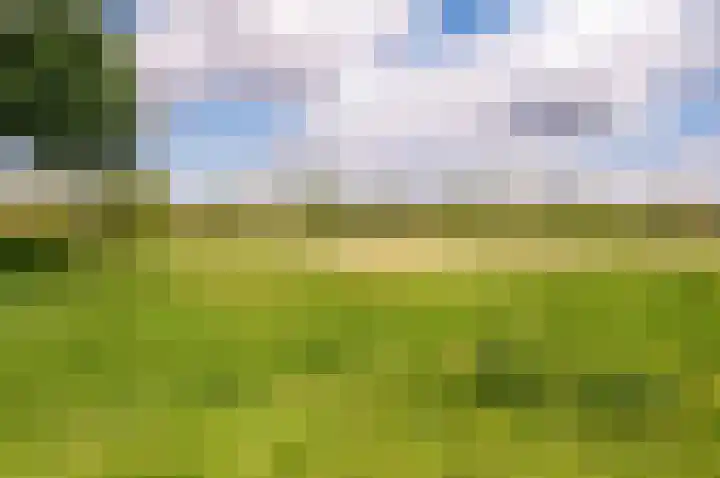 Dotterbloemhof 20 Lelystad thumbnail 39