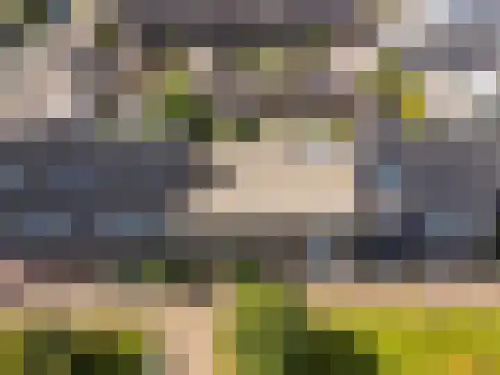Dotterbloemhof 20 Lelystad thumbnail 40