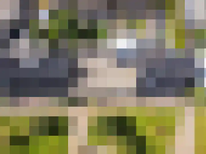 Dotterbloemhof 20 Lelystad thumbnail 41