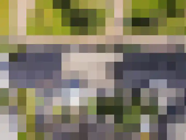 Dotterbloemhof 20 Lelystad thumbnail 42