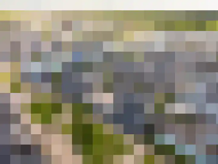 Dotterbloemhof 20 Lelystad thumbnail 43