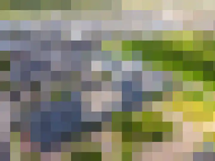 Dotterbloemhof 20 Lelystad thumbnail 44