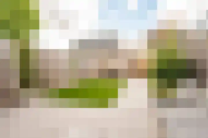 Dotterbloemhof 20 Lelystad thumbnail 5