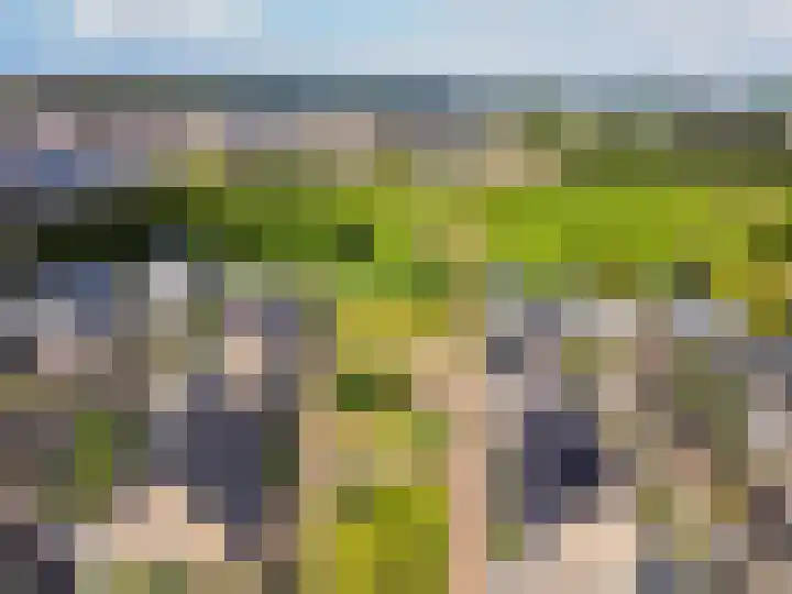 Dotterbloemhof 20 Lelystad thumbnail 7