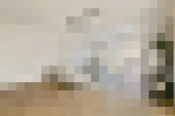 Dotterbloemhof 27 Lelystad thumbnail 6