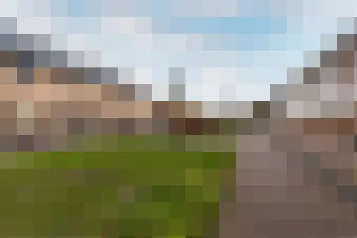 Dotterbloemhof 41 Lelystad thumbnail 30