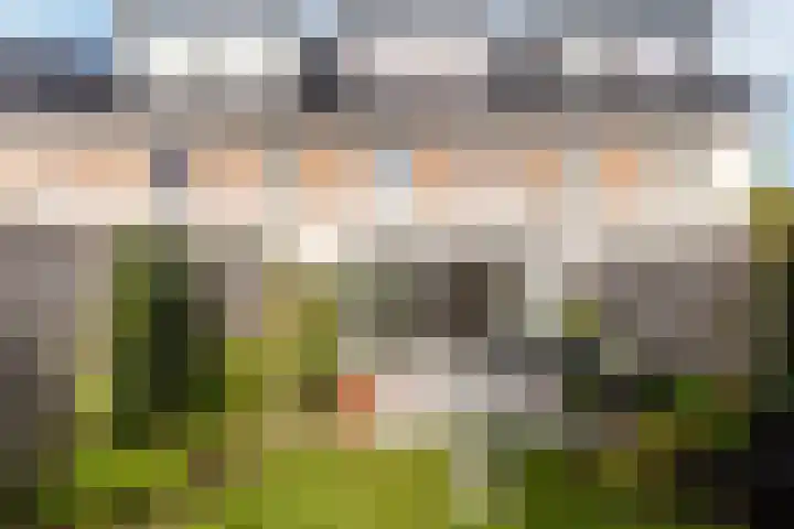 Dotterbloemhof 50 Lelystad thumbnail 24