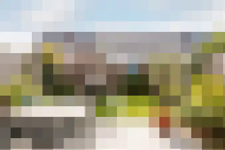 Dotterbloemhof 50 Lelystad thumbnail 25