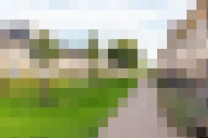 Dotterbloemhof 50 Lelystad thumbnail 27