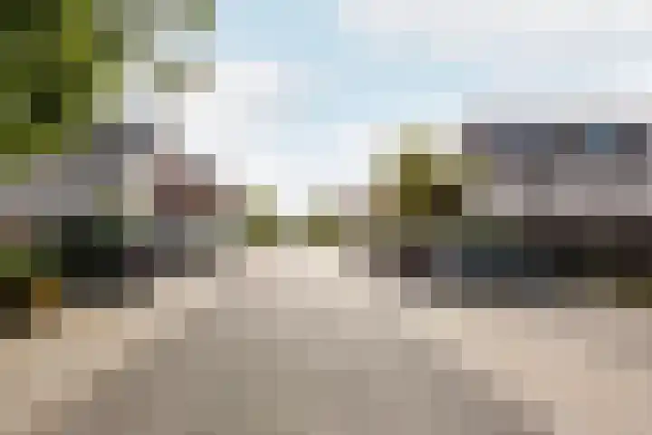 Dotterbloemhof 50 Lelystad thumbnail 28