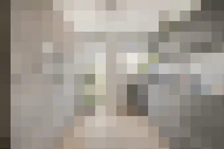 Dotterbloemhof 84 Lelystad thumbnail 6