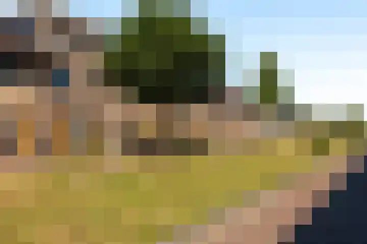 Dotterbloemhof 89 Lelystad thumbnail 27