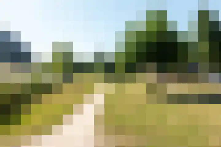 Dotterbloemhof 89 Lelystad thumbnail 28