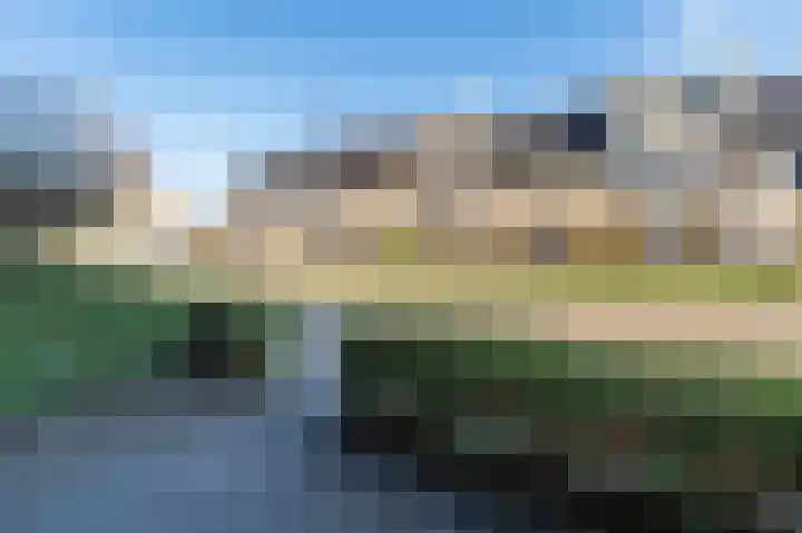 Dotterbloemhof 90 Lelystad thumbnail 50