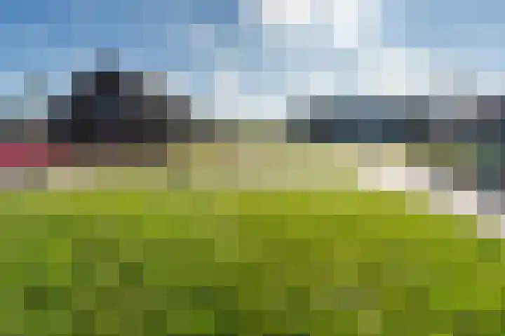 Dotterbloemhof 90 Lelystad thumbnail 55