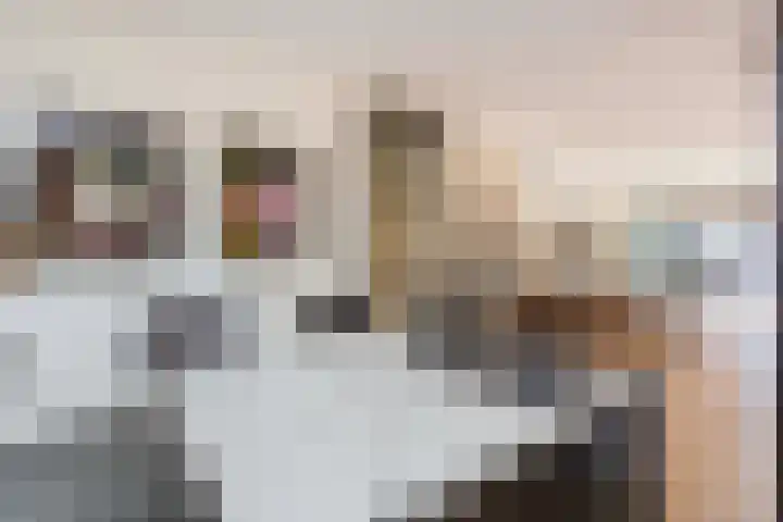 Dotterbloemkade 32 Vleuten thumbnail 11