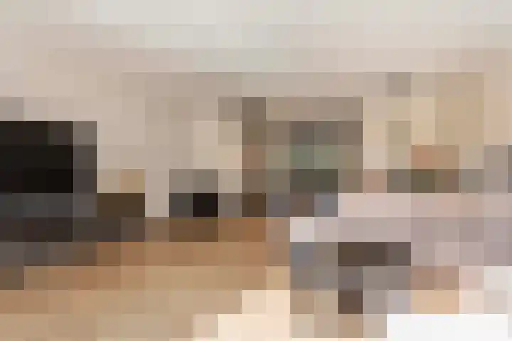 Dotterbloemkade 32 Vleuten thumbnail 14